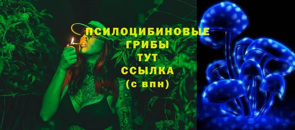первитин Белокуриха